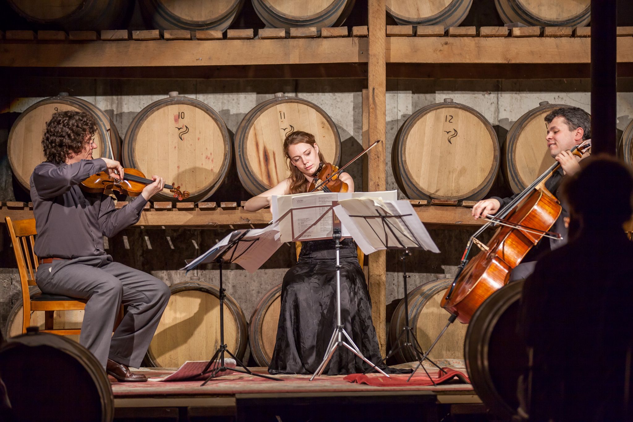 Jacques Thibaud Trio Image